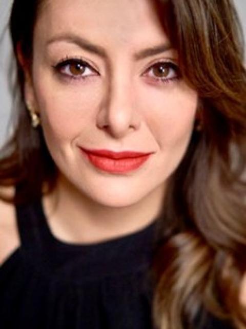 Menzer Pehlivan, Ph.d., P.E.